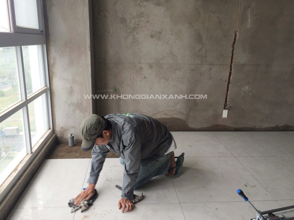 IMG_6224 web