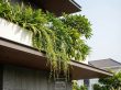 THIẾT KẾ – THI CÔNG BIỆT THỰ HIỆN ĐẠI ĐÀ NẴNG | HÌNH ẢNH HOÀN THIỆN L’VILLA